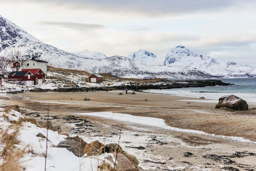 Tromsø: Arctic Landscape and Fjord Tour with Snacks - Why This Tromsø Arctic Fjord Tour Feels So Efficient in Winter