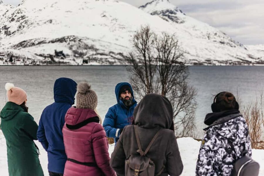 Tromsø: Arctic Landscape and Fjord Tour with Snacks - Håkøyvegen 20 and Fjordvegen 1156: How to Read Frozen Water From the Road