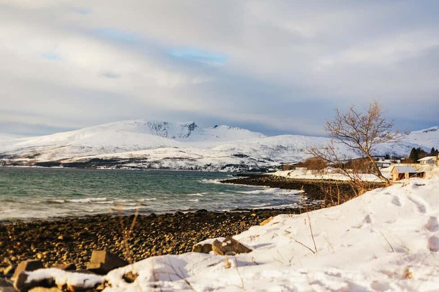 Tromsø: Arctic Landscape and Fjord Tour with Snacks - Grøtfjorden Photo Stop and Walk: Where the Cold Becomes Part of the Experience
