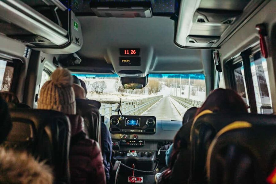 Tromsø: Arctic Landscape and Fjord Tour with Snacks - Arctic Wildlife Odds, and What Helps You Actually Spot Something