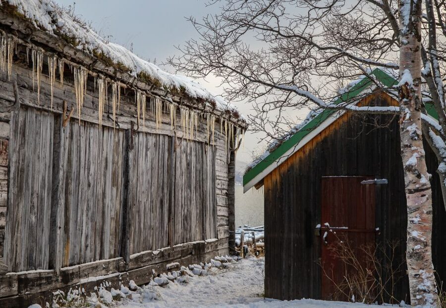 Tromsø: Arctic Nature Roadtrip with Photos & Scenic Lunch - Key highlights to look forward to