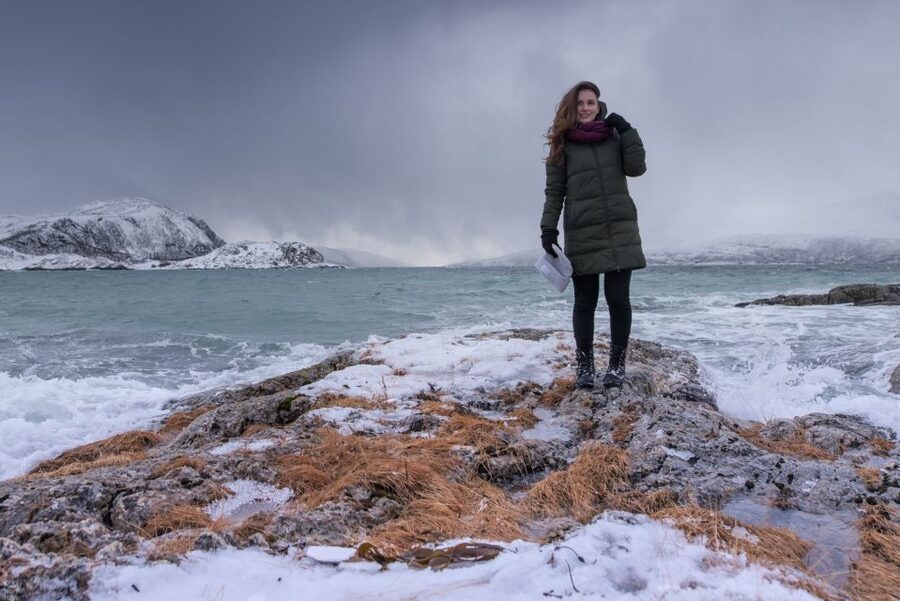 Tromsø: Arctic Nature Roadtrip with Photos & Scenic Lunch - Should you book this Tromsø Arctic Nature Roadtrip?