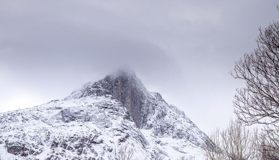 Tromsø: Arctic Nature Roadtrip with Photos & Scenic Lunch - Value check: what $152 buys in Arctic comfort and photos