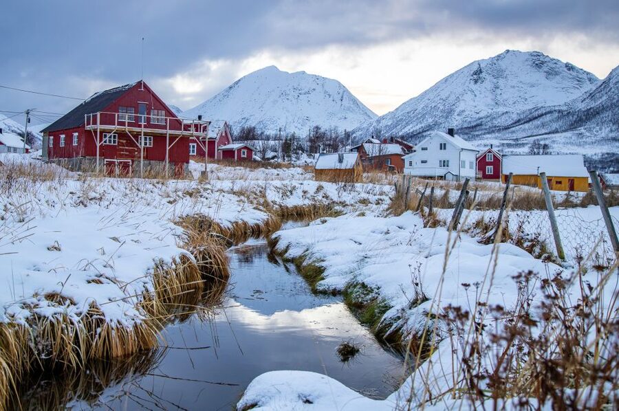 Tromsø: Arctic Nature Roadtrip with Photos & Scenic Lunch - Who this tour fits best (and who might want to skip it)