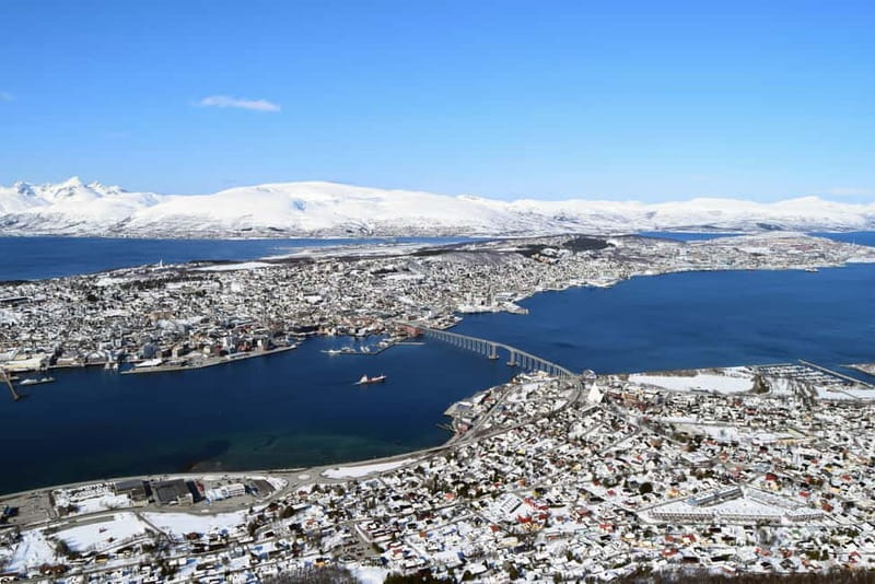 Tromso: Arctic Panorama Cable Car Excursion - The top viewpoint: views, walking time, and that waffles moment