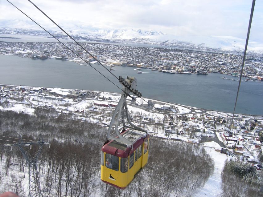 Tromsø: Arctic Panorama Fjellheisen Cable Car Ticket - What about the “guide” part, since some people expected more?