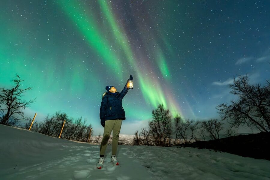 Tromsø: Aurora Borealis, Campfire, Hot Meal, Arctic Tour - What Makes This Aurora Tour Work So Well