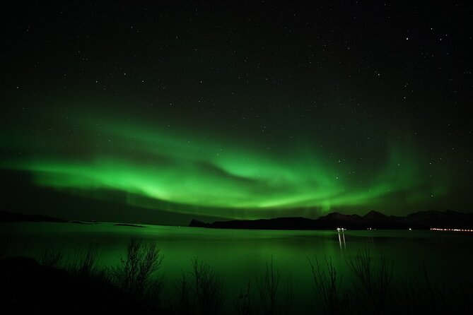 Tromso Aurora Chase by Minibus with Thermal Suit, Snack and Photo - Minibus Comfort, Timing, and the Bathroom Reality