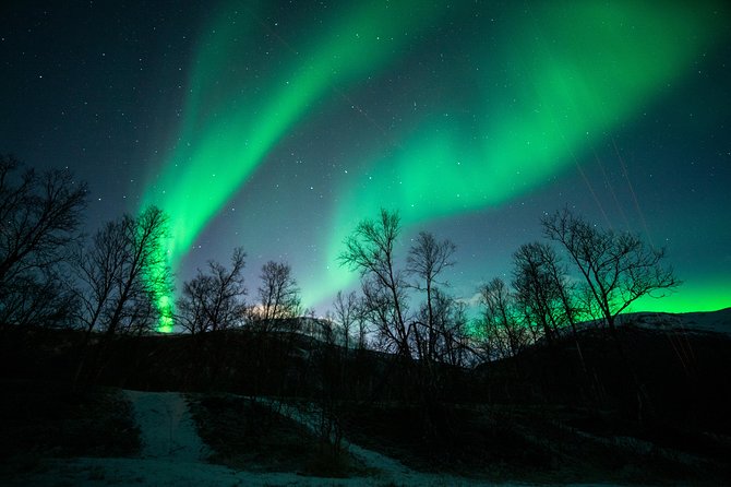 Tromso Aurora Chase by Minibus with Thermal Suit, Snack and Photo - Warm Breaks and Bonfire Moments: Snacks, Hot Chocolate, and Camp Feel