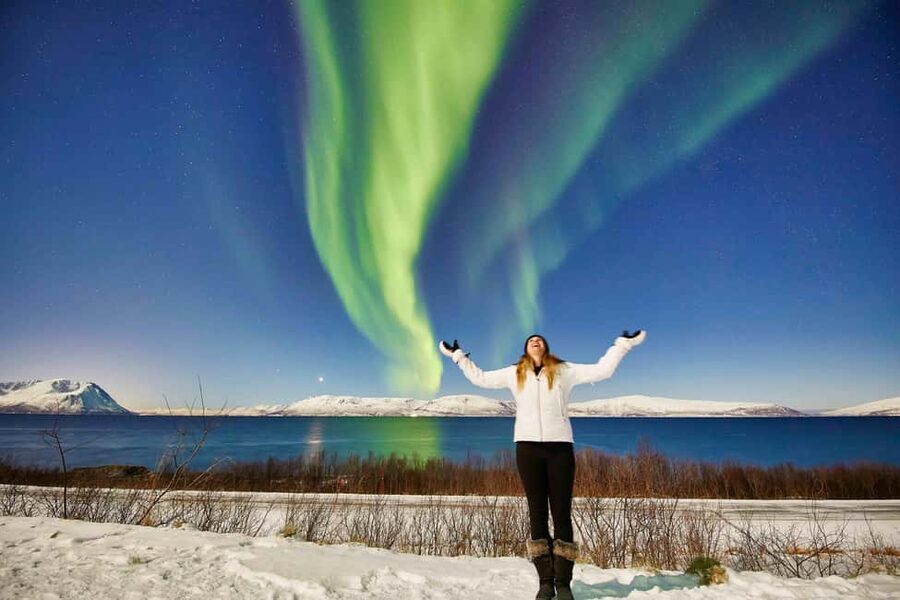 Tromsø: Aurora Crystal Lavvo Experience with Snowshoeing - Meals in the Arctic, the Fish Soup Lunch, and Allergy Reality
