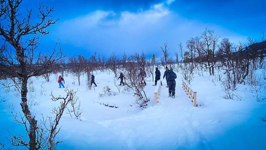Tromsø: Aurora Crystal Lavvo Experience with Snowshoeing - Small Group Value: Why This Costs About $460 and What You Get