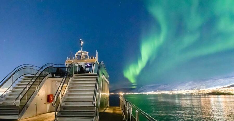 Tromsø: Aurora Dinner Cruise by Hybrid-Electric Catamaran - Key Things I’d Put on Your Must-Do List