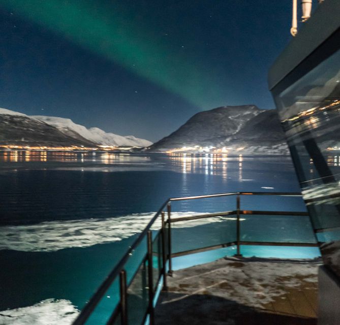 Tromsø: Aurora Dinner Cruise by Hybrid-Electric Catamaran - Who This Tromsø Aurora Cruise Fits Best (and Who Should Rethink)