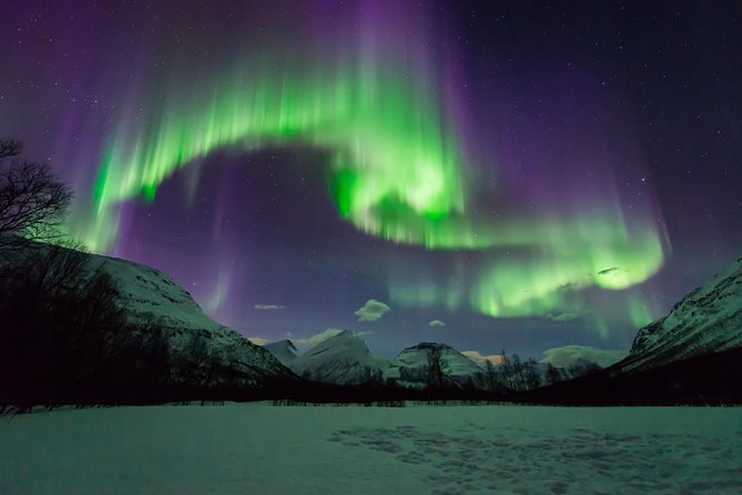 Tromso Aurora Hunt with Bonfire, Soup, Winter Gear & Transfers - Small Walks and Wild Nature Realities