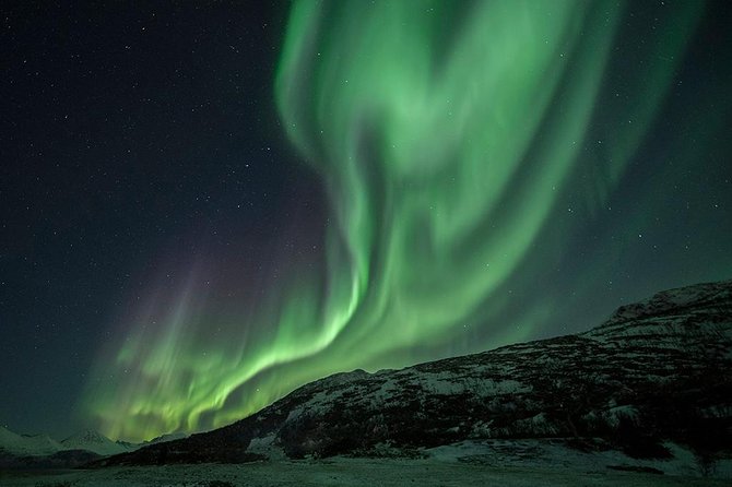 Tromso Aurora Hunt with Bonfire, Soup, Winter Gear & Transfers - Photo Tips, Souvenir Photos by Email, and Camera Reality