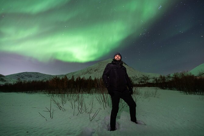 Tromsø: Aurora Magic Northern Lights Tour with Photos - How the tour actually improves your odds, beyond just driving out