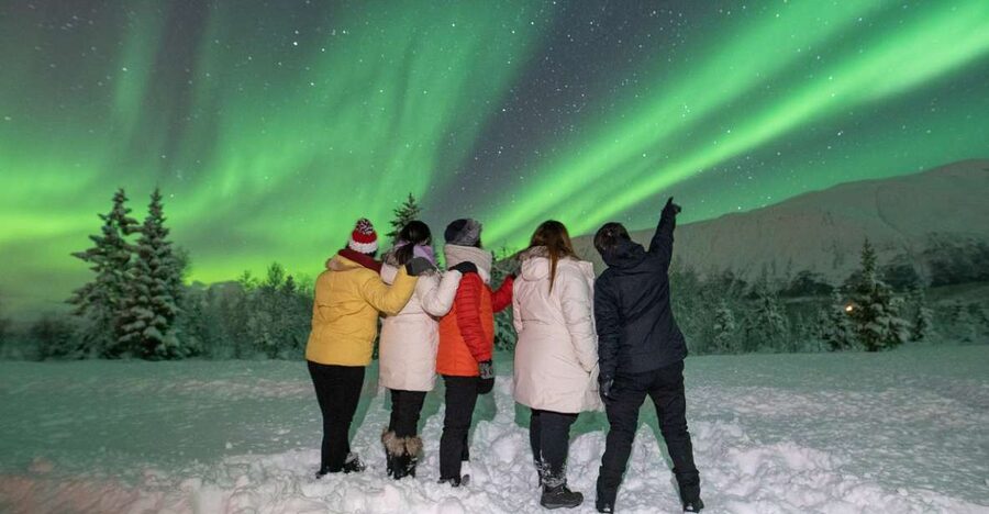 Tromsø: Aurora Safari Chase with Photos - Price and Value: Is $124 a Fair Bet?