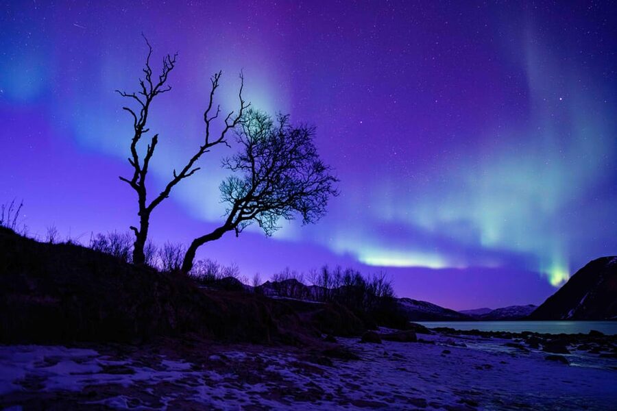 Tromsø: Aurora Tour with Photos, Campfire and Arctic Food - Photo Help and Included High-Res Shots: Worth It for Non-Pro Shooters