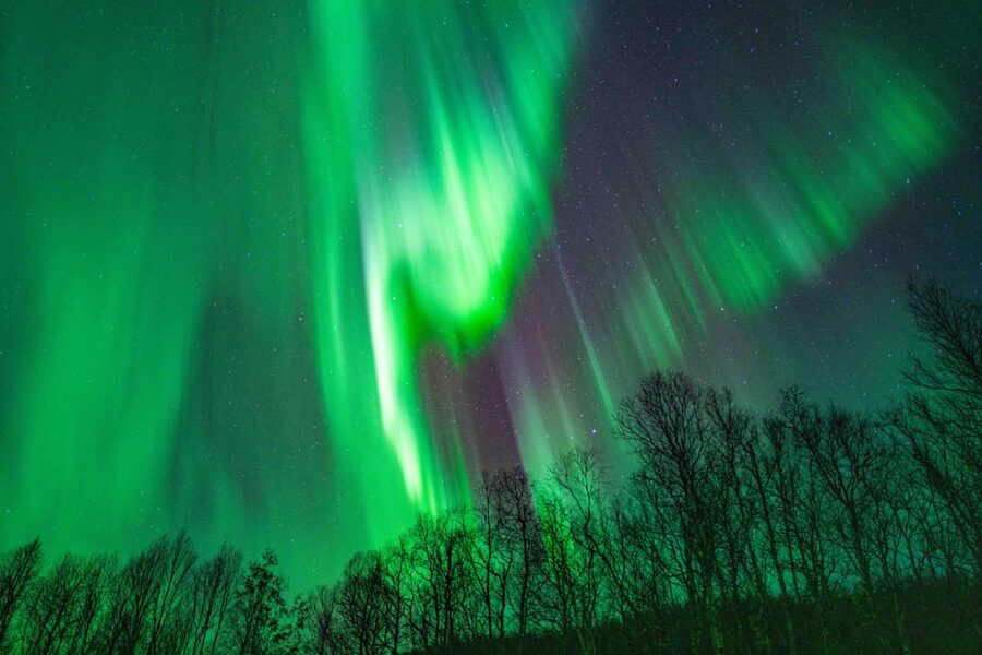 Tromsø: Aurora Tour with Photos, Campfire and Arctic Food - Who This Tour Fits Best, and Who Might Want Something Else