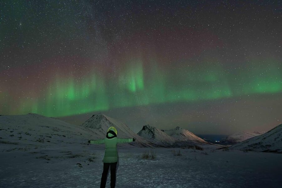 Tromsø: Aurora Tour with Photos, Campfire and Arctic Food - Final Call: Should You Book This Tromsø Aurora Tour?