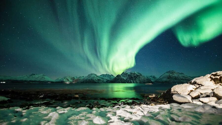 Tromsø: Big Bus Northern Lights Tour with Free Photos - Where you might stop: beaches, fjords, and Finland-border nights