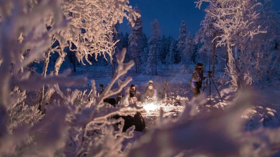 Tromsø: Big Bus Northern Lights Tour with Free Photos - The campfire and warm-up rhythm under Arctic stars