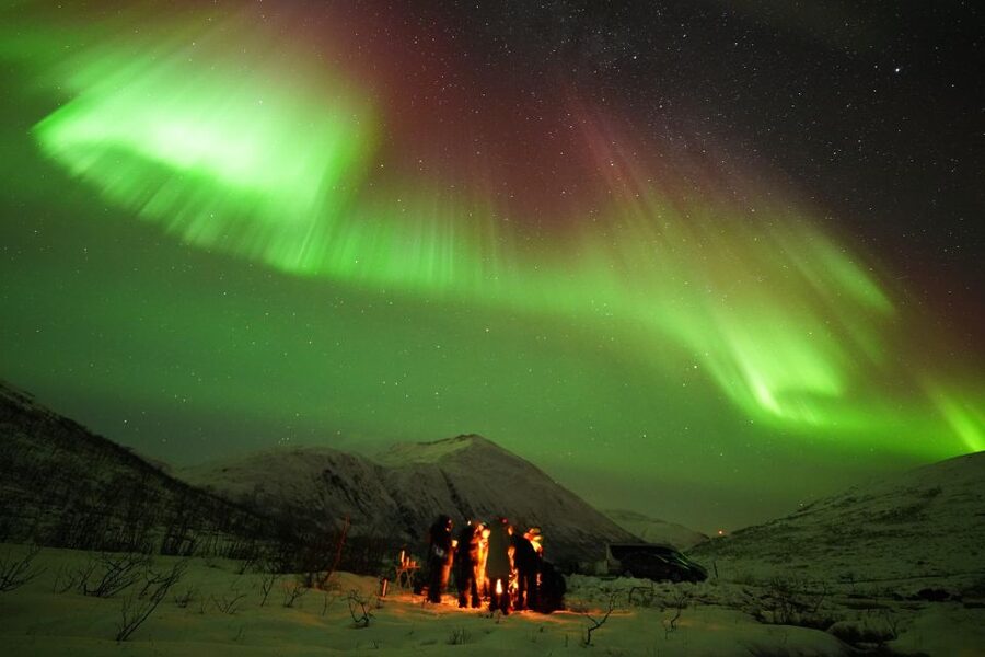 Tromsø: Chase Aurora in Minibus and Free Aurora Portrait - Key things I’d circle before you book