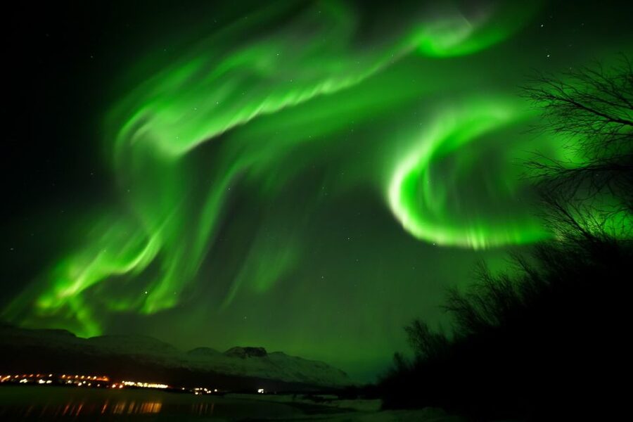 Tromsø: Chase Aurora in Minibus and Free Aurora Portrait - Should You Book This Tromsø Minibus Aurora Chase?