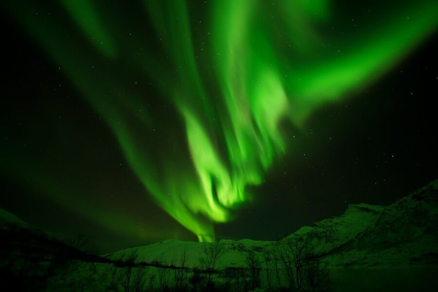 Tromsø: Chase Aurora in Minibus and Free Aurora Portrait - Campfire Comfort, Lefse, and Winter Suits That Help You Last
