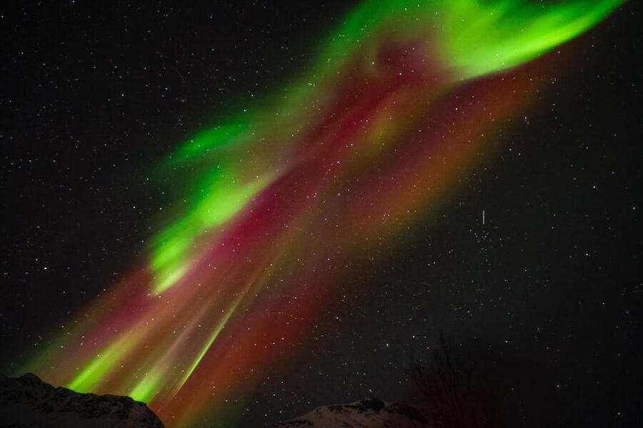 Tromsø Chinese Aurora Tour - Who This Tour Suits Best (And Who Might Want Another Plan)