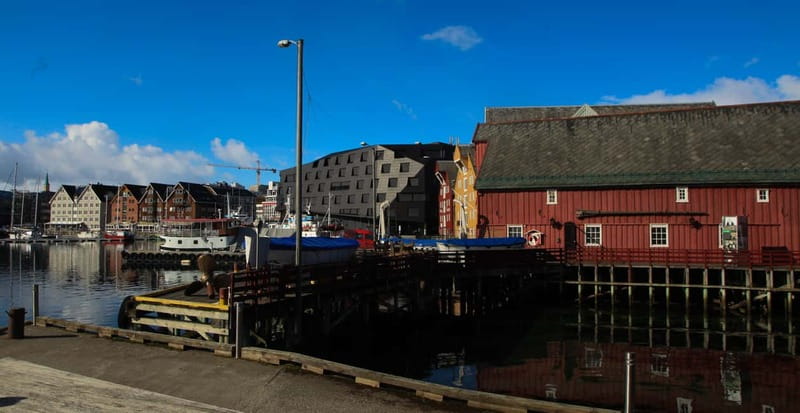 Tromsø: City Walk & Polar Museum (Private or Shared) - The story route: Ice Age to the 1800s to today