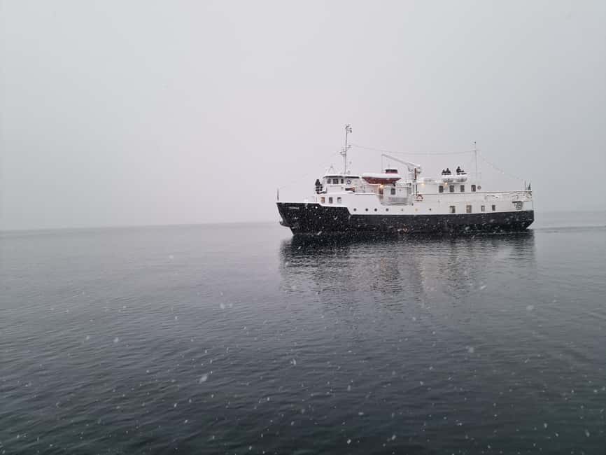 Tromsø: Classic arctic fjord cruise with lite lunch - The 4.5-hour structure: what happens from 10:00 to 14:30