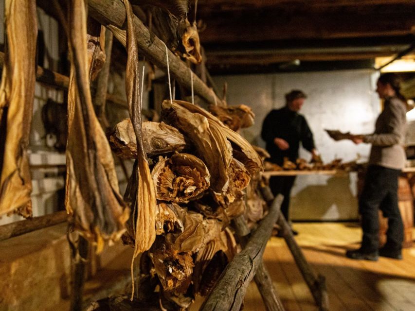 Tromso: Cod-Tasting Tour with Full Steam Museum Entry - Tromso’s maritime history in the Seafarer exhibition