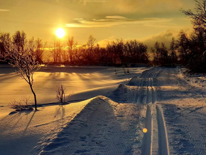 Tromsø: Cross Country Guided Skiing Course - Key Points You Should Know Before You Go