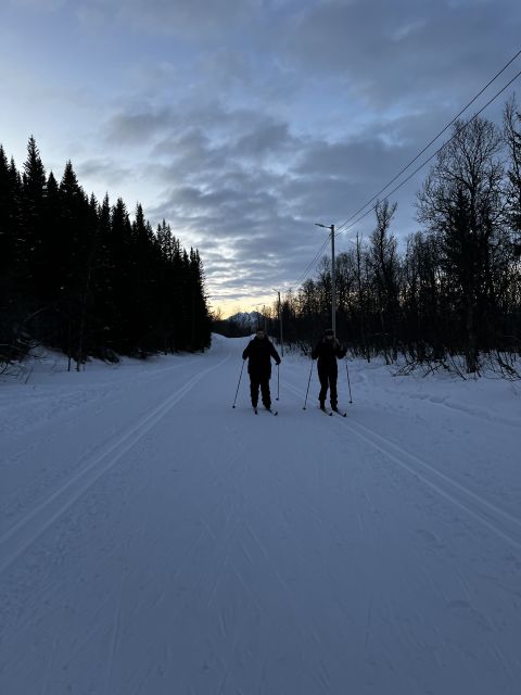 Tromsø: Cross Country Guided Skiing Course - Price and Value: What $99 Buys in Tromsø Winter
