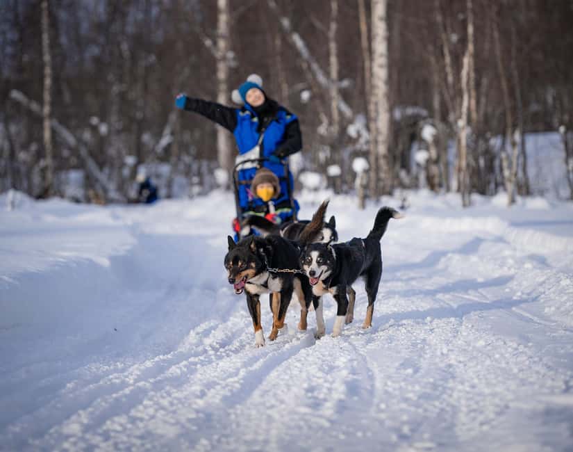 Tromsø: Dog Sledding Adventure at Camp Aspemo - Cold-weather packing that actually matters for this ride