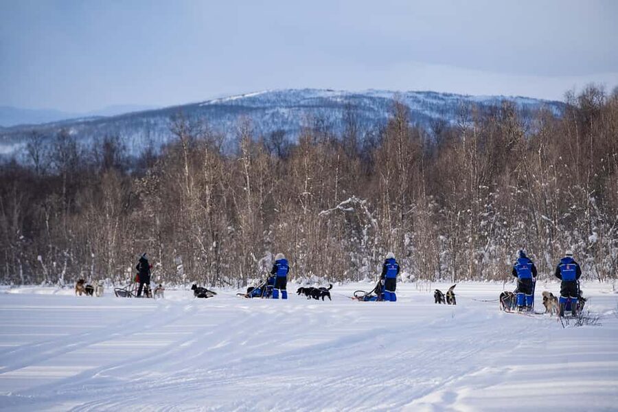 Tromsø: Dog Sledding Adventure at Camp Aspemo - Getting there from Tromsø Harbor: 60 minutes by bus with big winter views
