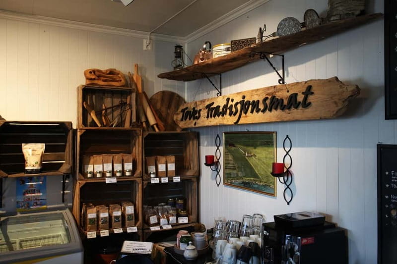 Tromsø: Easy Snowshoeing Tour with Coffee and Cake - Polar Night, Made Human: Why This Tour Works