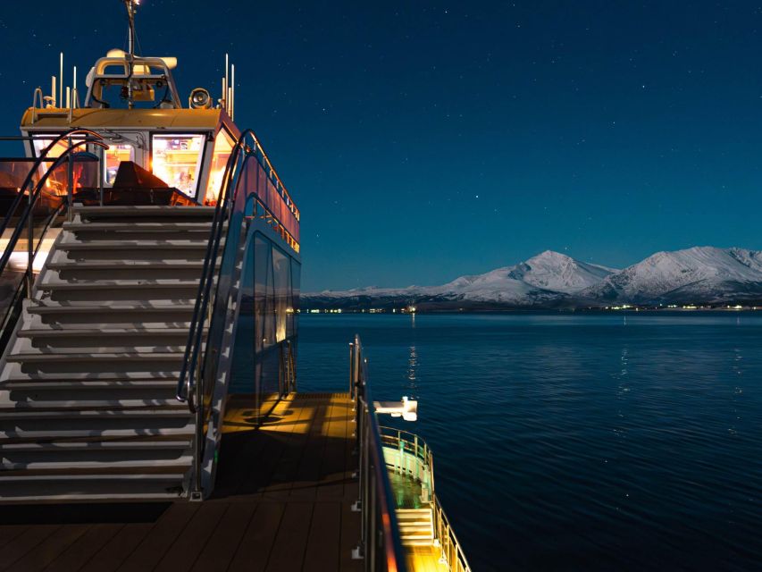 Tromsø: Electric Northern Lights Cruise - Price and Value: Why $124 Can Be a Smart Deal for Aurora Comfort