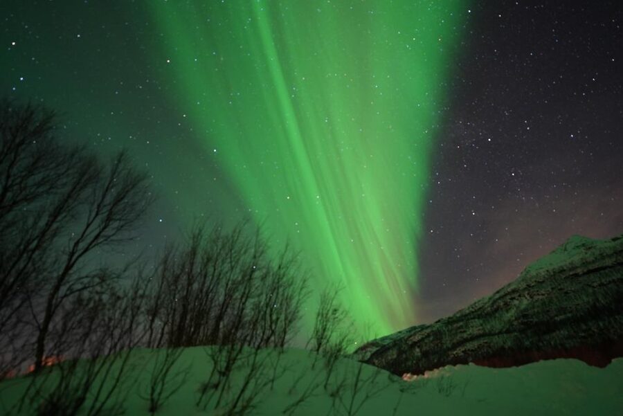 Tromsø: English/Spanish Aurora Pathfinder Tour with Photos - Why this minibus aurora hunt works in Tromsø winter