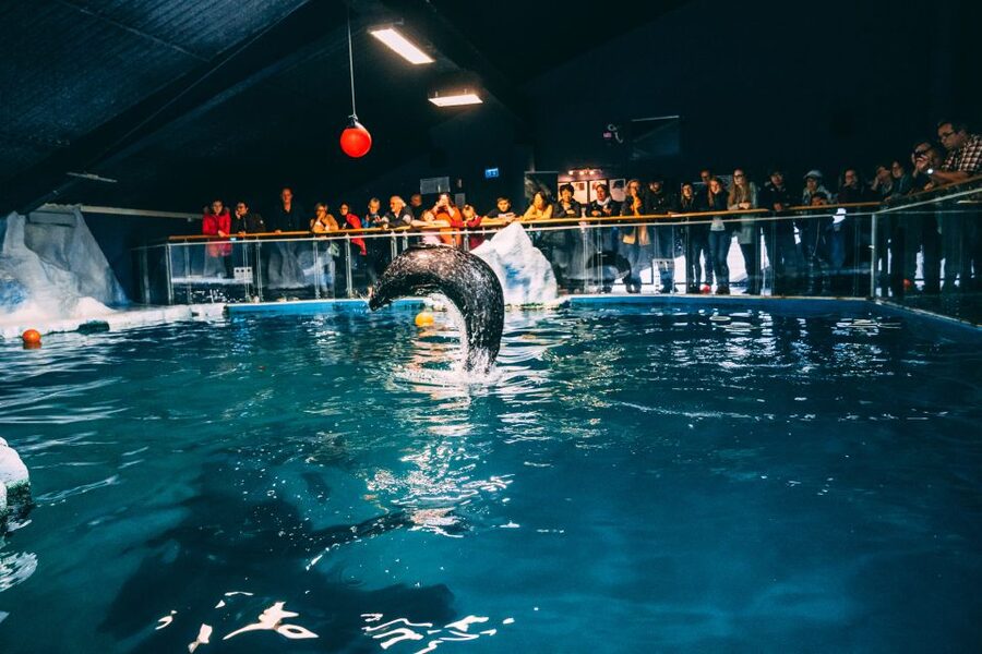 Tromsø: Entrance Ticket to Polaria - Aquarium Time: Fish, Crustaceans, Jellyfish, and More