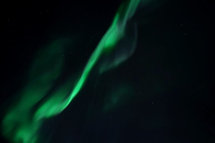Tromsø: Evening Aurora Cruise (dinner optional) - Key highlights to know before you go