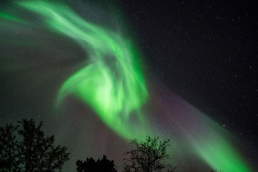 Tromsø: Evening Aurora Cruise (dinner optional) - Chasing the green lady from Tromsø waters instead of the roadside