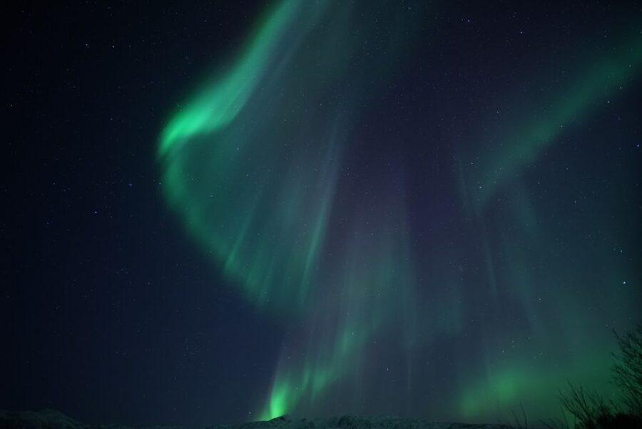 Tromsø: Evening Aurora Cruise (dinner optional) - Warmth plan: thermal suits, hot drinks, and staying sane in the dark