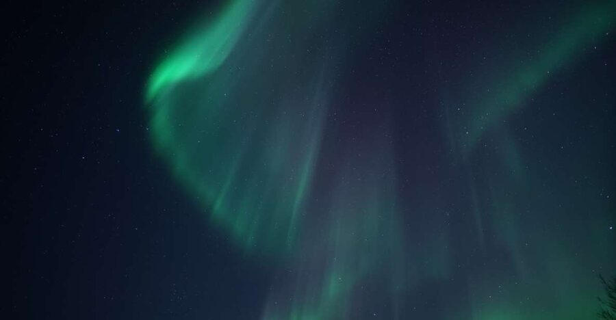 Tromsø: Evening Aurora Cruise (dinner optional) - Your 20:00 to 23:30 timing, and why it is set up for real aurora odds
