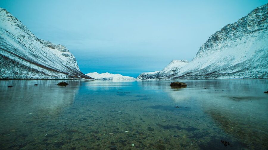 Tromsø: Exclusive Fjord Adventure by Bus - Food, Hot Drinks, and Staying Warm Enough to Enjoy the Outdoors
