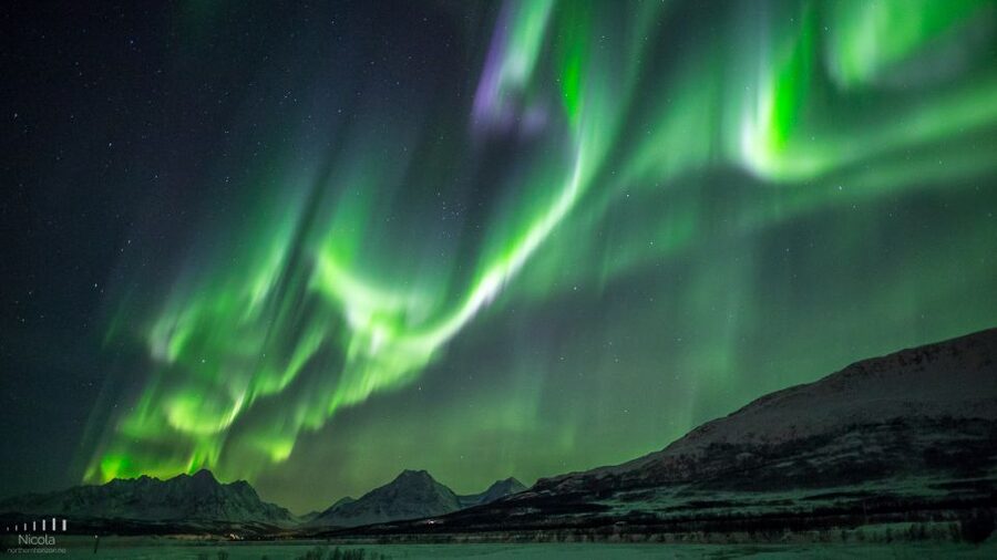 Tromsø: Expert Aurora Hunt - Thermal Gear, Food, Campfire - The fjord and the moment the sky decides to cooperate