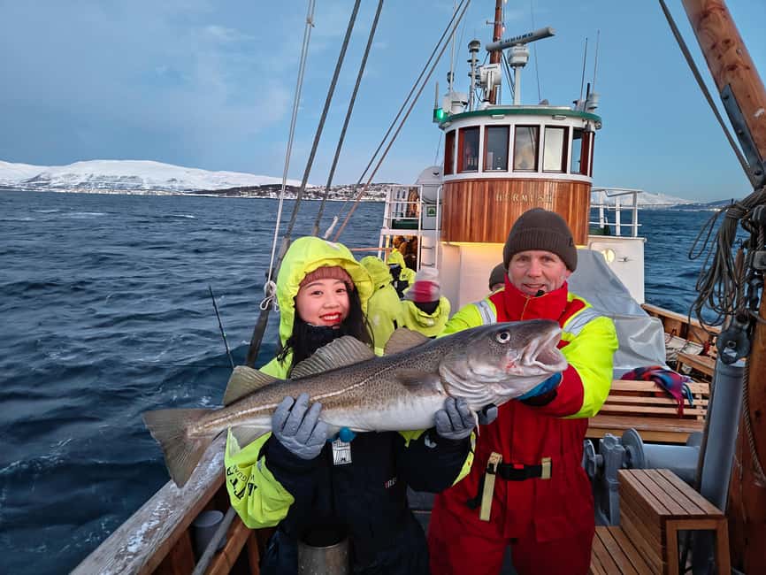Tromsø: Fishing & Fjord Cruise - Key takeaways before you go on Hermes II