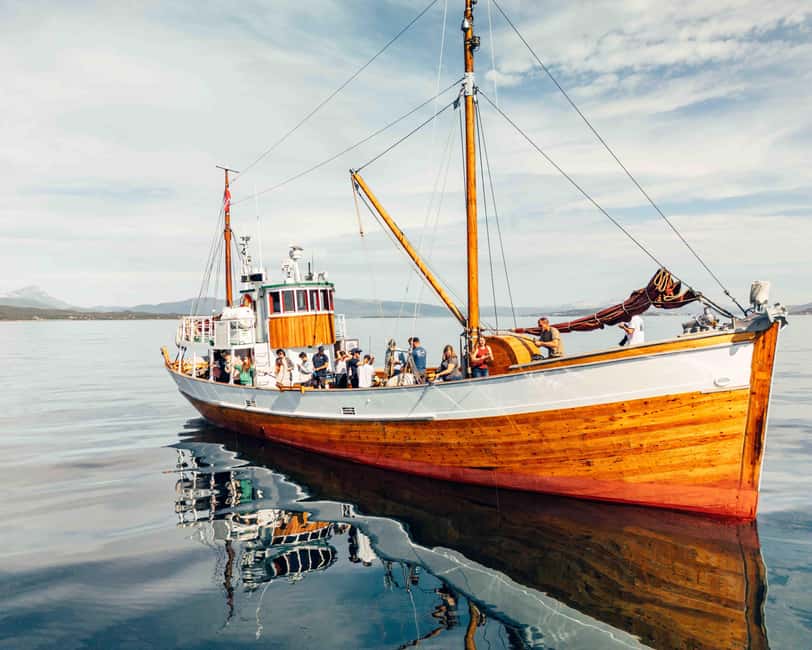Tromsø: Fishing & Fjord Cruise - Fishing with help, not pressure: rods, turns, and odds