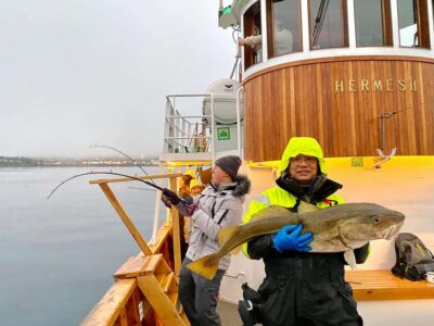 Fishing & Fjord Cruise